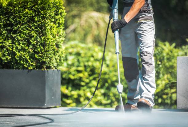 Best Sidewalk and Walkway Cleaning  in Gray, LA